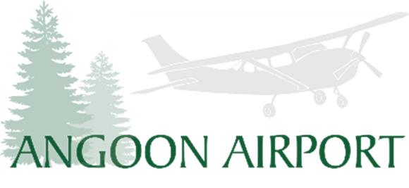 Angoon Logo